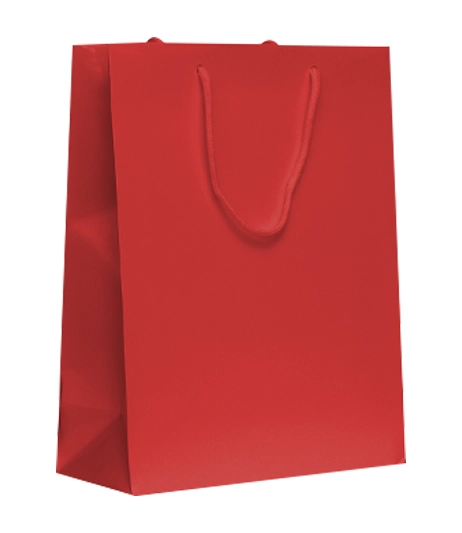 Boutique-gift-bag-with-rope-handles-and-matte-finish