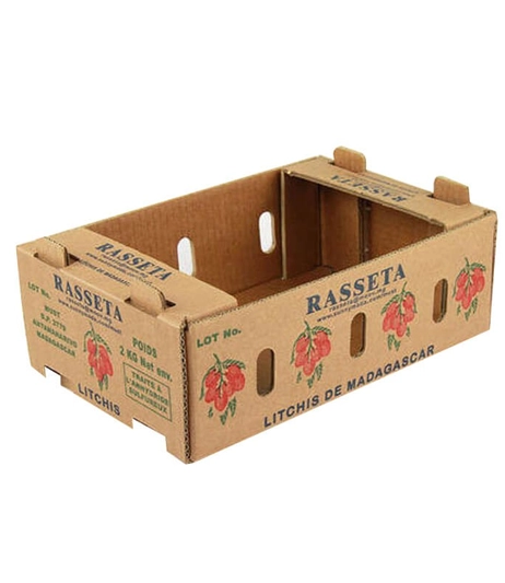 Bulk-frozen-vegetables-shipping-carton-custom-packaging-boxes