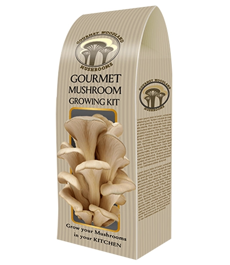 Custom-printed-mushroom-packaging-boxes-with-window-custom-boxes