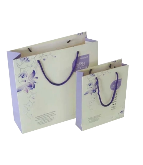 Custom-printed-paper-bag-for-beauty-retail-packaging_1758197735