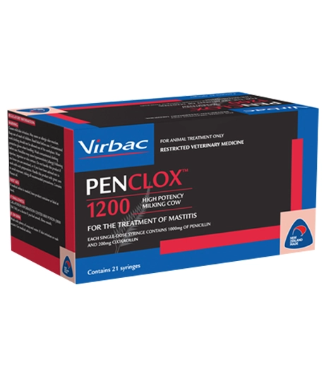 Custom-printed-veterinary-medicine-boxes-for-dog-pills