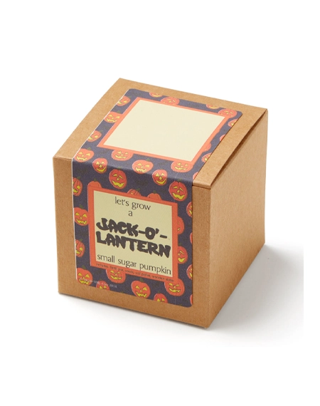 Custom-seed-packaging-box-with-eco-friendly-kraft-design