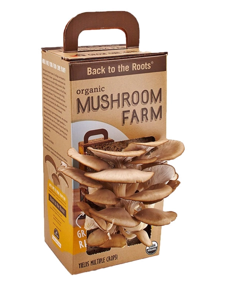 Durable-printed-mushroom-grow-kit-packaging-for-retail
