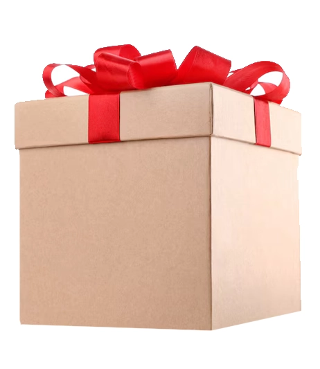 Eco-friendly-Kraft-box-with-red-ribbon-and-national-emblem