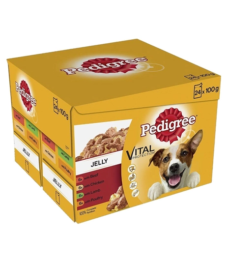 Food-safe-pet-food-packaging-with-foil-stamping-box_1758190133