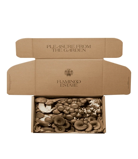 Gourmet-mushroom-subscription-box-with-inserts