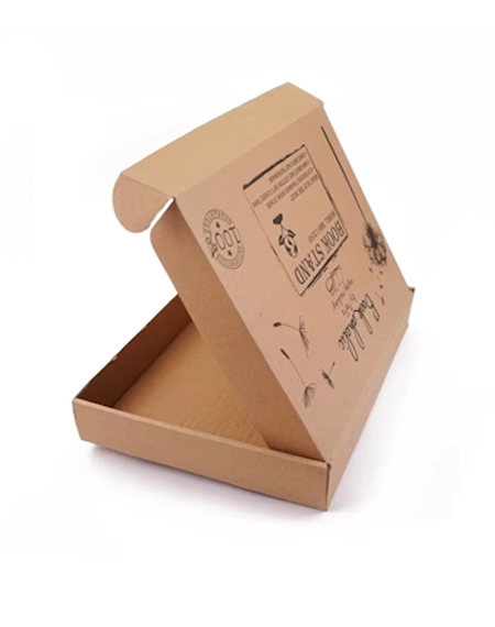 Kraft-mailer-box-with-company-logo