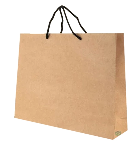 Large-grocery-takeaway-paper-bag-with-rope-handles