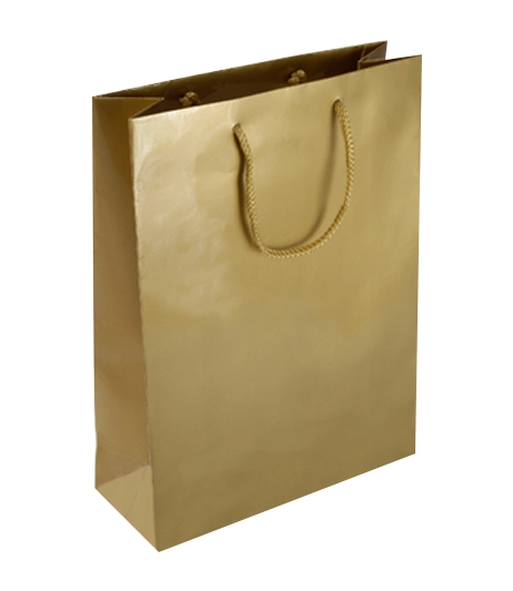 Luxury-glossy-shopping-bag-with-rope-handles