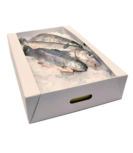 Moisture-proof-frozen-fish-packaging-boxes