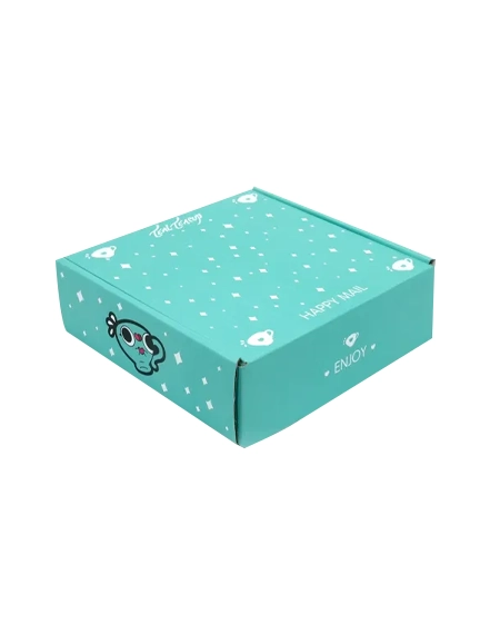 Pastel-green-mailer-box-with-custom-logo