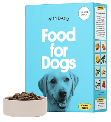 Pet products
