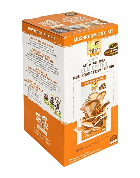 Premium-mushroom-growing-kit-packaging-boxes-for-branding