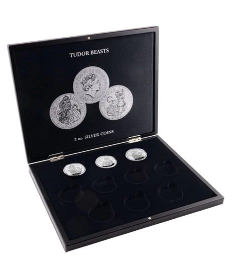 Rigid-custom-coin-packaging-with-foam-insert