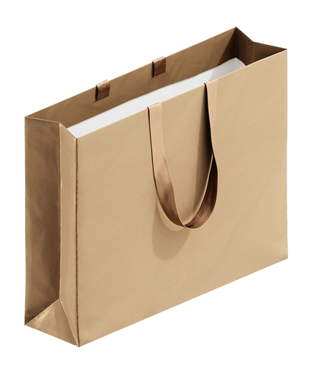 Stylish-boutique-paper-bag-with-ribbon-handles