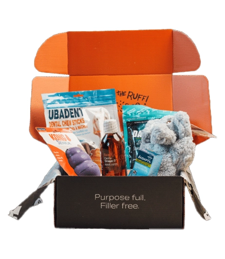 Subscription-mailer-for-pet-toys_1758173039