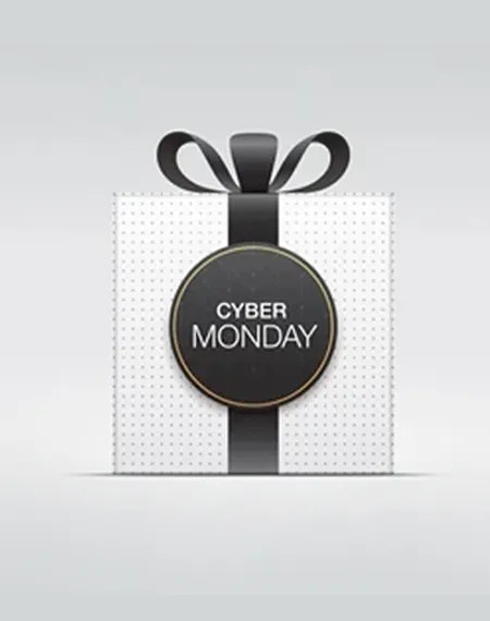 cyber Monday Boxes-alt
