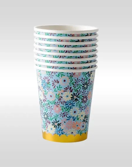 party paper cups-alt