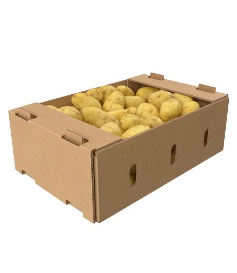 retail-frozen-potato-product-carton-boxes-custom-packaging-boxes