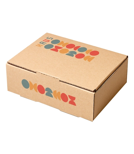 retail-ready-frozen-samosa-cartoon-CUSTOM-PACKAGING-boxes